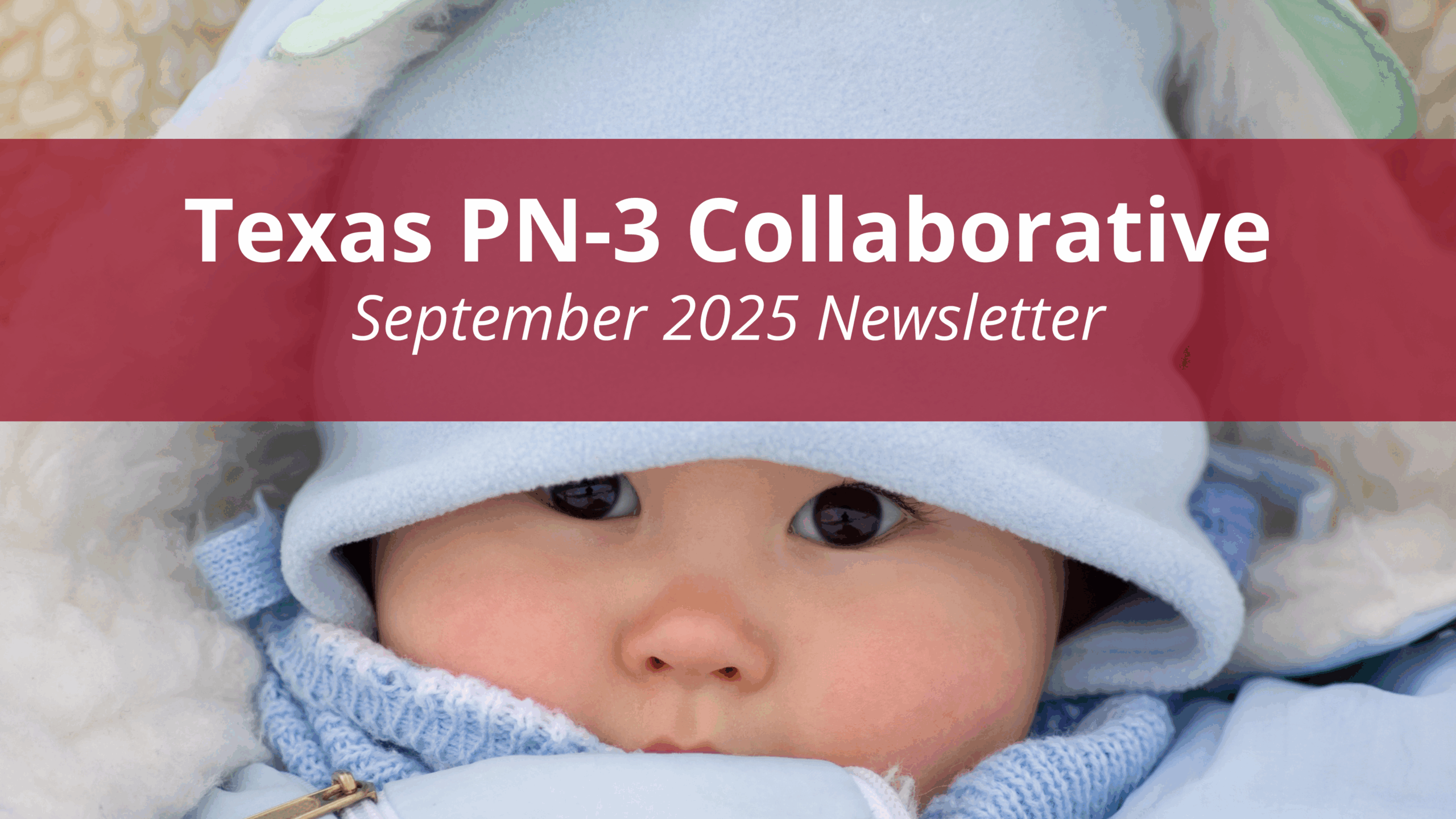 Texas PN-3 Collaborative November Newsletter