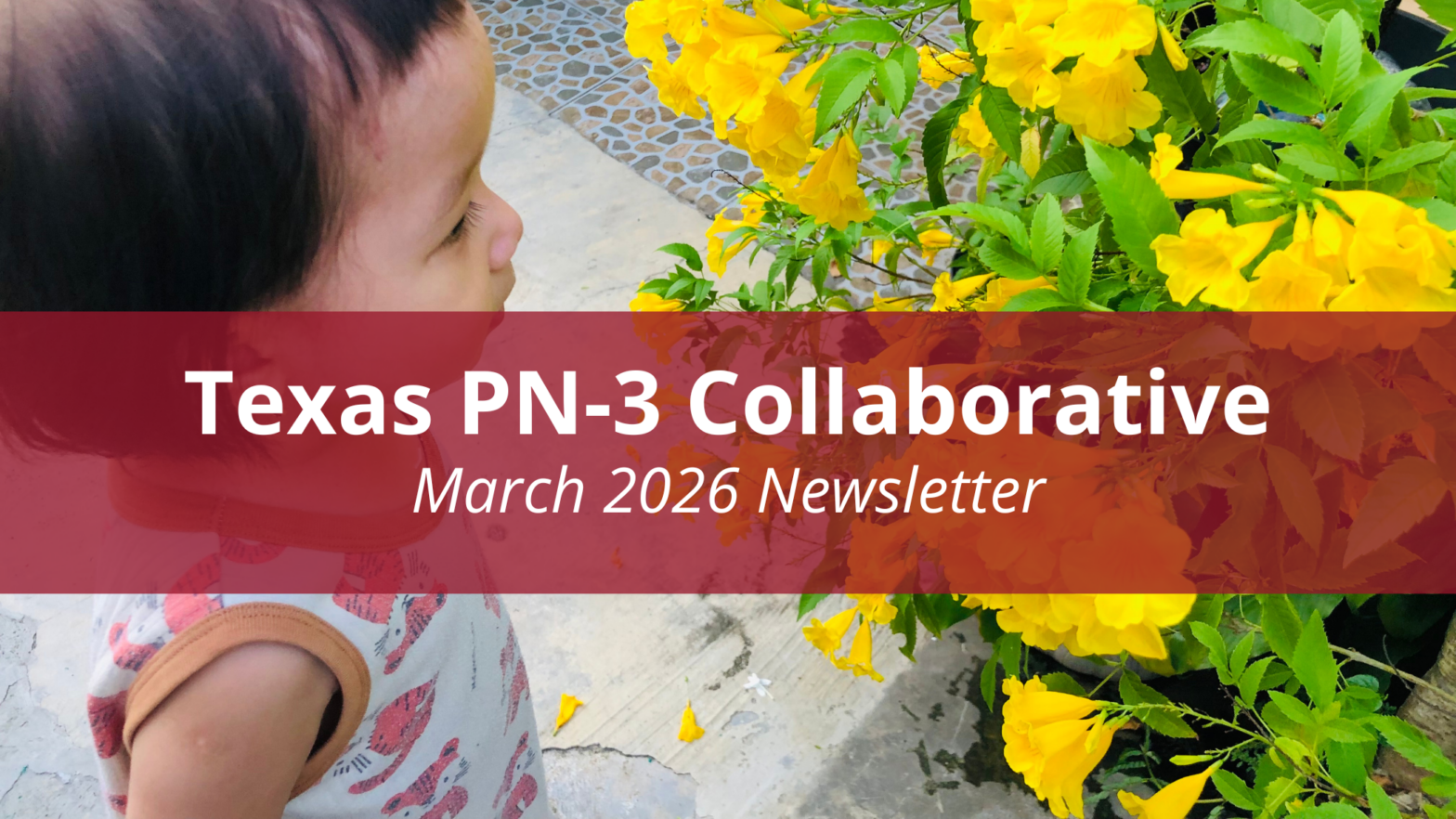 March 2026 Newsletter